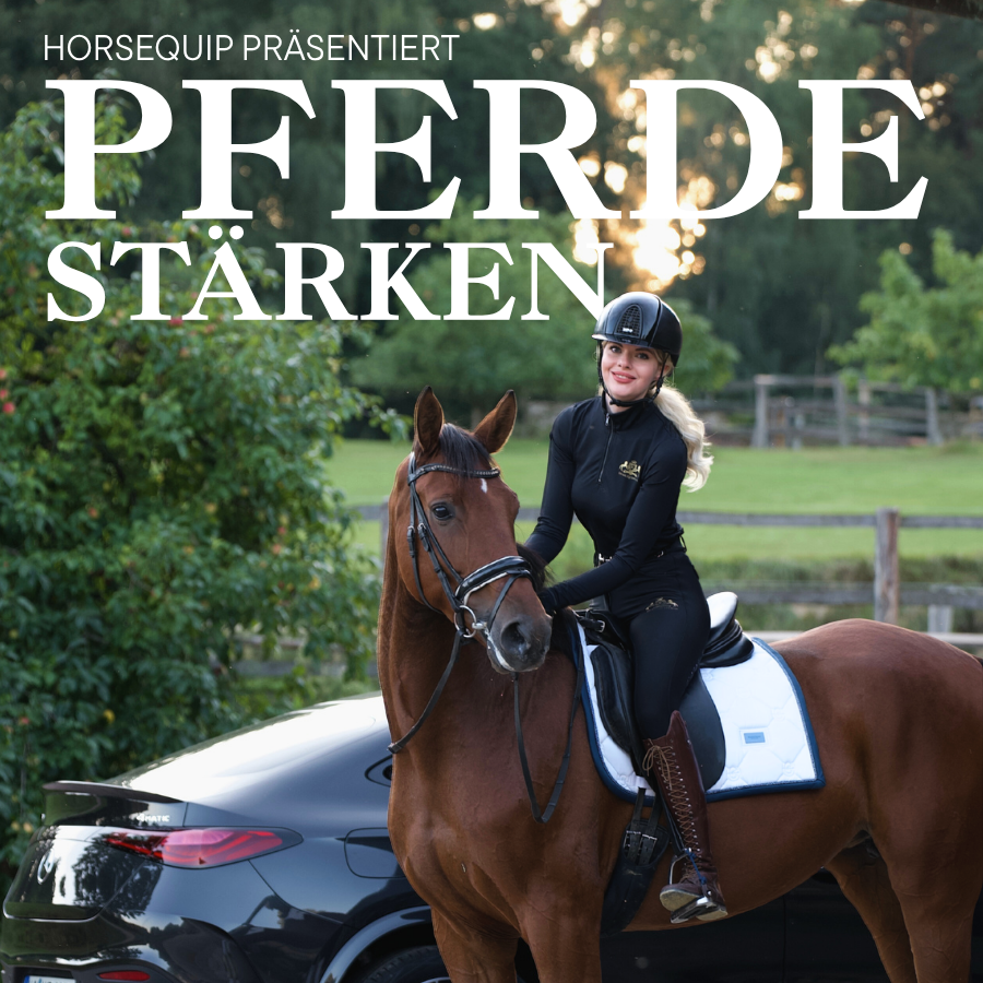 Pferdestärken Event